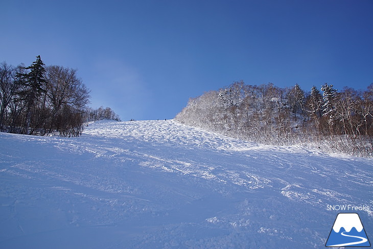 サッポロテイネ -11℃！空に舞い上がる粉雪。